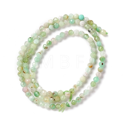 Natural Chrysoprase Beads Strands G-M390-02-1