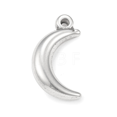 Non-Tarnish 304 Stainless Steel Pendants STAS-F287-31P-1