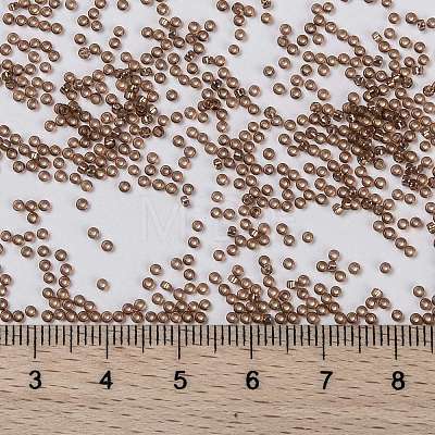 MIYUKI Round Rocailles Beads X-SEED-G009-RR0641-1