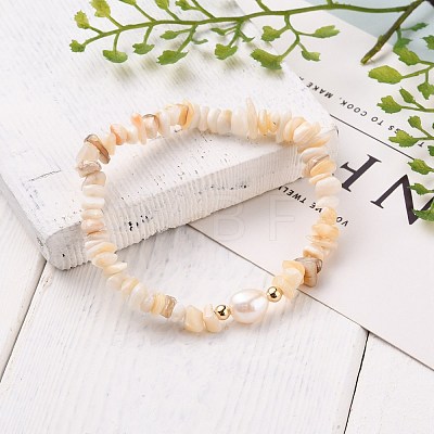 Chip Natural Shell Stretch Beaded Bracelets BJEW-JB05727-01-1