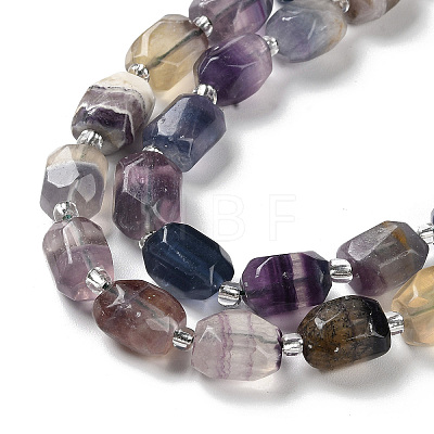 Natural Fluorite Beads Strands G-C105-A03-01-1