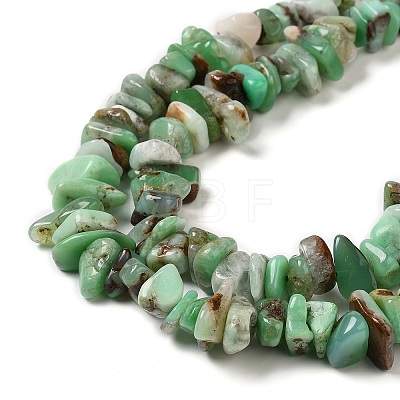 Natural Chrysoprase Beads Strands G-G0004-D01-B-1