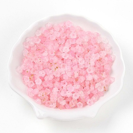Frosted Transparent Acrylic Beads OACR-N137-72B-1