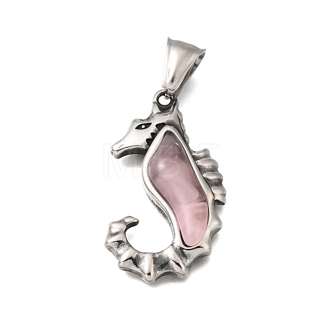 304 Stainless Steel & Resin Pendants STAS-H263-14AS-1