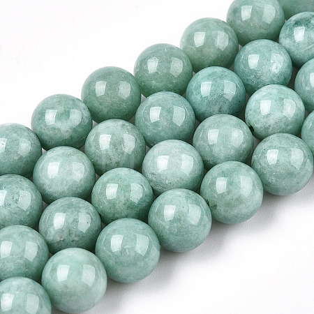 Natural Myanmar Jade/Burmese Jade Beads Strands G-T064-22-10mm-1