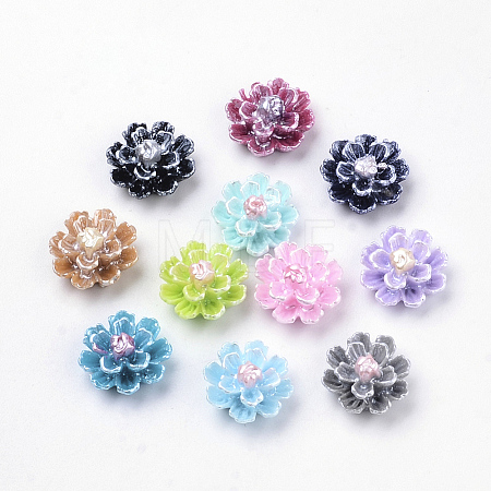 Imitation Pearl Resin Cabochons CRES-S301-24-1