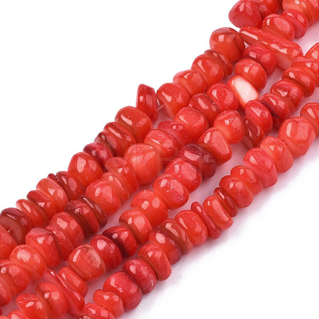 Natural Trochid Shell/Trochus Shell Beads Strands SHEL-S258-081-B06-1