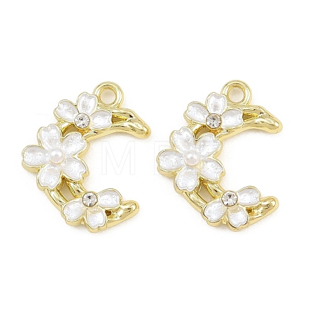 Alloy with Enamel Pendants RB-CBA1FD3-11G-01-1