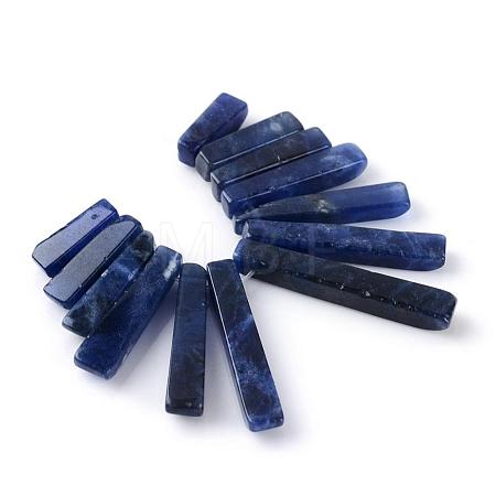 Natural Sodalite Pendants Sets G-Q458-01B-1