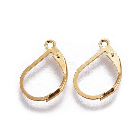 304 Stainless Steel Leverback Earring Findings X-STAS-L221-09G-1
