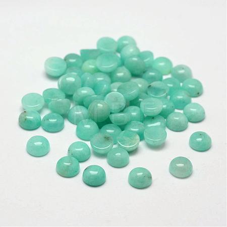 Dome/Half Round Natural Amazonite Cabochons G-O146-02B-1