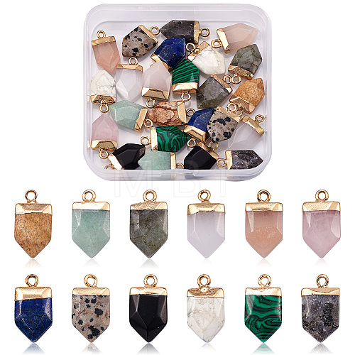 Craftdady 24Pcs 12 Style Natural & Synthetic Gemstone Pointed Pendants G-CD0001-04-1