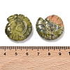 Natural Unakite Conch Display Decorations DJEW-D303-01G-3
