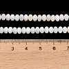 Natural Freshwater Shell Beads Strands SHEL-C010-04B-02-4
