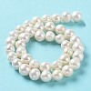 Natural Cultured Freshwater Pearl Beads Strands PEAR-E019-03-3