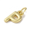 Rack Plating Brass Charms KK-P245-06G-P-2