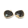 Natural & Synthetic Mixed Gemstone Pendants G-K347-10G-3