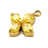 304 Stainless Steel Micro Pave Cubic Zirconia Pendants LS-STAS-U042-06G-04-2