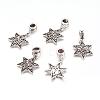 Alloy European Dangle Charms PALLOY-JF00001-17-1