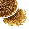 FGB Transparent Glass Seed Beads SEED-N013-01A-08-1
