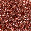 6/0 Transparent Colours Glass Seed Beads SEED-P006-01A-05-3