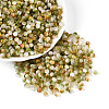Drawbench Style Glass Seed Beads SEED-Q039-01J-1