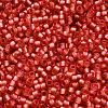 TOHO 6/0 Round Beads SEED-XTR06-2201-4