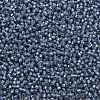 TOHO Round Seed Beads SEED-JPTR11-2102-2