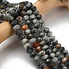 Natural Eagle Eye Stone Beads Strands G-Z111-A11-02-1
