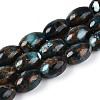 Dyed Synthetic Gemstone Beads Strands G-T144-38A-4