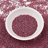 MIYUKI Delica Beads SEED-JP0008-DB1746-2