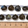 Natural Labradorite Beads Strands G-C292-A09-01-4