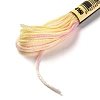 10 Skeins 6-Ply Polyester Embroidery Floss OCOR-K006-A50-2
