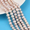 Natural Cultured Freshwater Pearl Beads Strands PEAR-I007-07X-06E-1