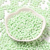 Baking Paint Glass Seed Beads X1-SEED-B001-02A-11-2