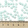 6/0 Glass Seed Beads X1-SEED-L011-08A-14-4