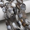 Natural Botswana Agate Beads Strands G-L650-D03-04-1