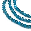Natural Apatite Beads Strands G-Z057-B02-02-3