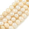 Natural Cultured Freshwater Pearl Beads Strands PEAR-C003-09F-1