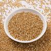 Cylinder Seed Beads SEED-H001-G04-3