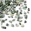 Natural Green Spot Jasper Chip Beads GG-CBABB01-02-2