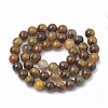 Natural Pietersite Beads Strands G-S333-8mm-010-3