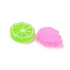 Printed Transparent Resin Imitation Food Cabochons RE-CBAC39A-04-2