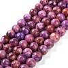 Natural Turquoise Dyed Beads Strands TURQ-U001-02D-1