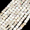 Electroplated Natural Freshwater Shell Beads Strands SH-CBA93AD-05-1