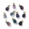 Natural Fluorite Carved Pendants G-J387-105-1