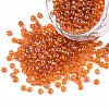 Round Glass Seed Beads SEED-A007-3mm-169-1