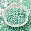 Baking Painted Glass Seed Beads SEED-C004-03D-2