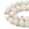 Natural White Moonstone Beads Strands G-F674-08-8mm-01-9