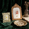 1Pc Arch Shape Resin & Velvet Photo Frame Necklace Display Stands NDIS-NB0001-11-4